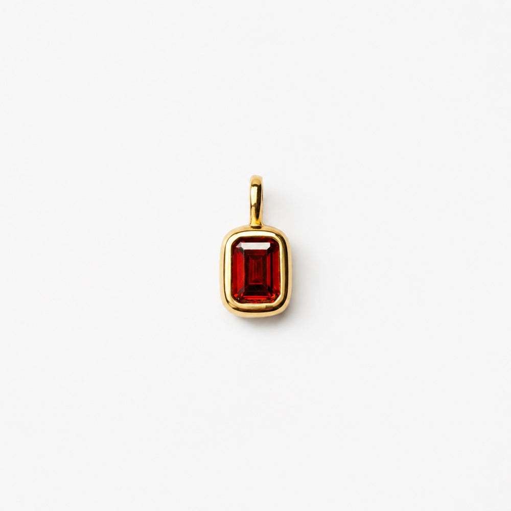 Celebration Charm - January