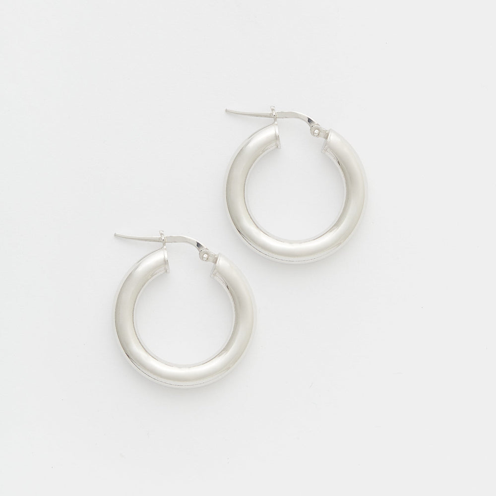 Joan Hoops Size Small
