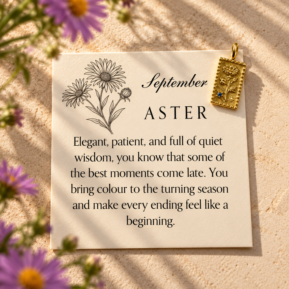 September Garden Charm - Aster