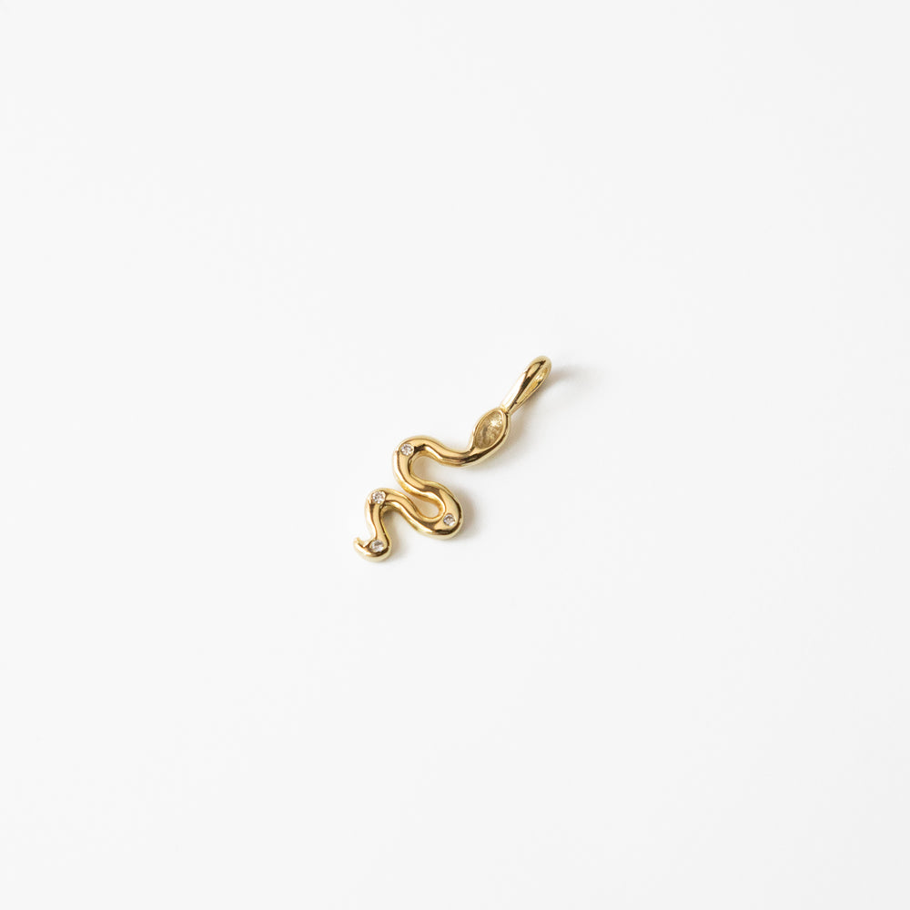 Serpent Charm