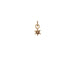 14K Gold Star Symbol Charm
