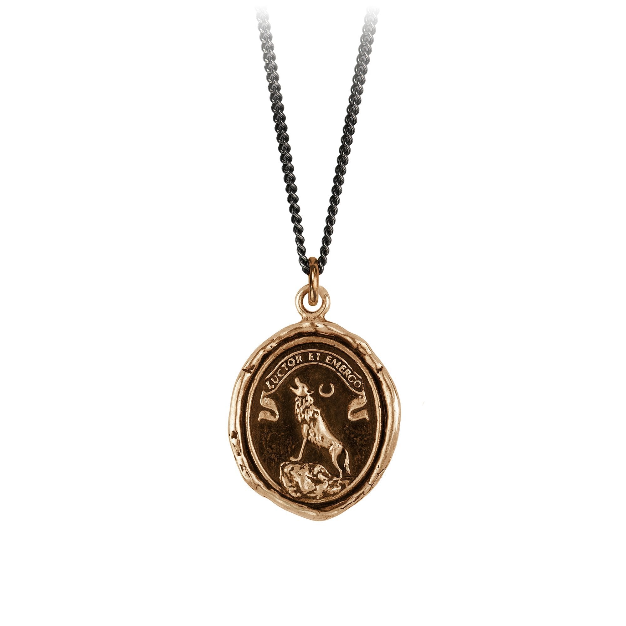 Struggle and Emerge Talisman Necklace Bronze